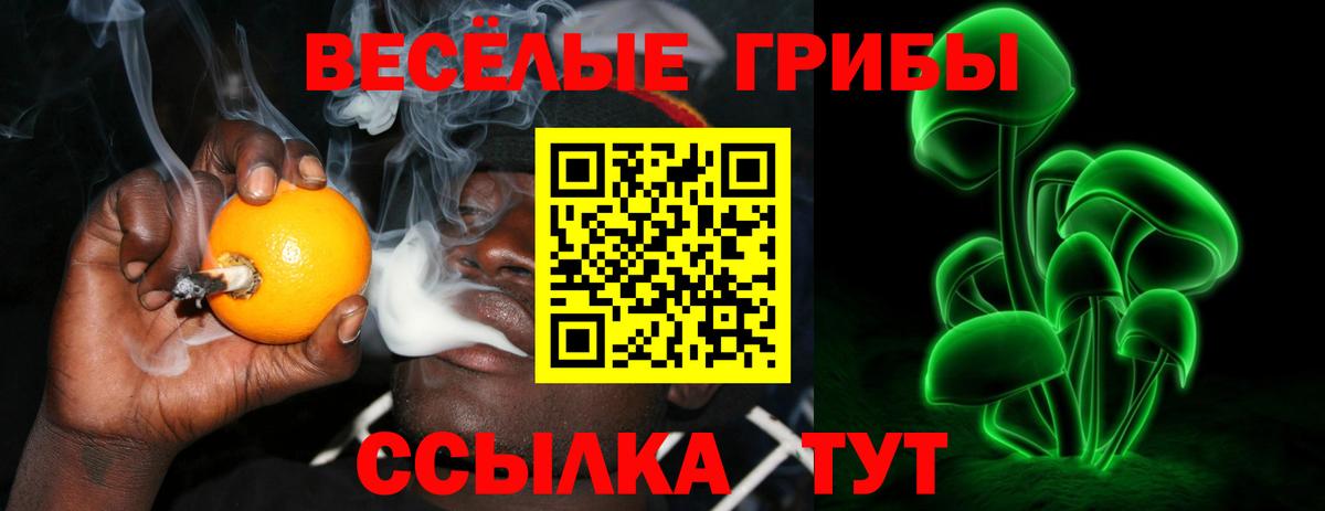 Чапаевск  где купить наркоту  Вход с VPN  Псилоцибиновые грибы мицелий 